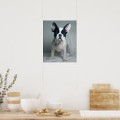 Franse bulledog-puppy ter attentie van poster (Keuken)