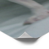 Franse bulledog-puppy ter attentie van poster (Hoek)