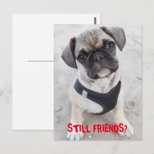 Franse bulledog puppy ziet er schattig uit briefkaart (Voorkant / Achterkant)