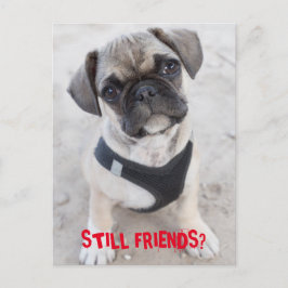 Franse bulledog puppy ziet er schattig uit briefkaart