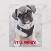 Franse bulledog puppy ziet er schattig uit briefkaart (Voorkant)