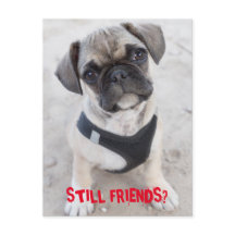 Franse bulledog puppy ziet er schattig uit