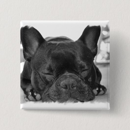 Franse bulledog Square Pin Vierkante Button 5,1 Cm (Voorkant)