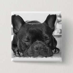 Franse bulledog Square Pin Vierkante Button 5,1 Cm