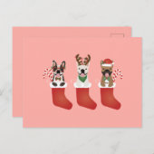 Franse bulledogs met kerstmallen briefkaart (Voorkant / Achterkant)