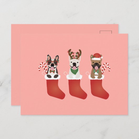 Franse bulledogs met kerstmallen briefkaart (Voorkant / Achterkant)