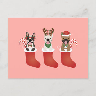 Franse bulledogs met kerstmallen briefkaart