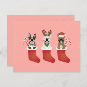 Franse bulledogs met kerstmallen briefkaart (Voorkant / Achterkant)
