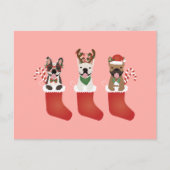 Franse bulledogs met kerstmallen briefkaart (Voorkant)
