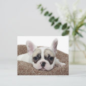 Franse bullehond die een hondenpuppy leit in een h briefkaart (Staand voorkant)