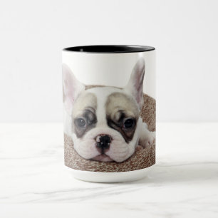 Franse bullehond die een hondenpuppy leit in een h mok
