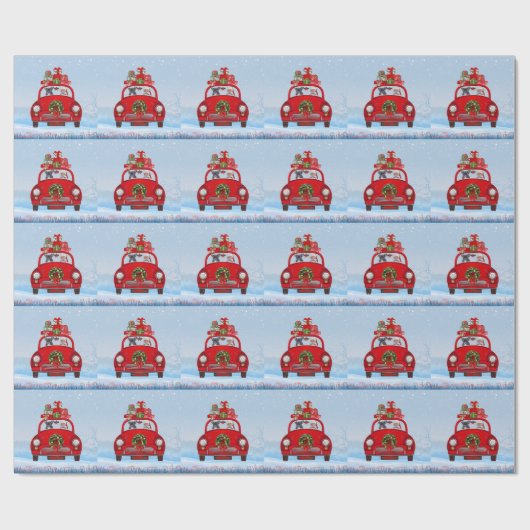 Franse bullehond in auto met kerstman cadeaupapier (Vlak)