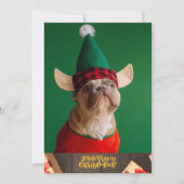 Franse bullehond met Petten luidop kerst Feestdagenkaart (Voorkant)