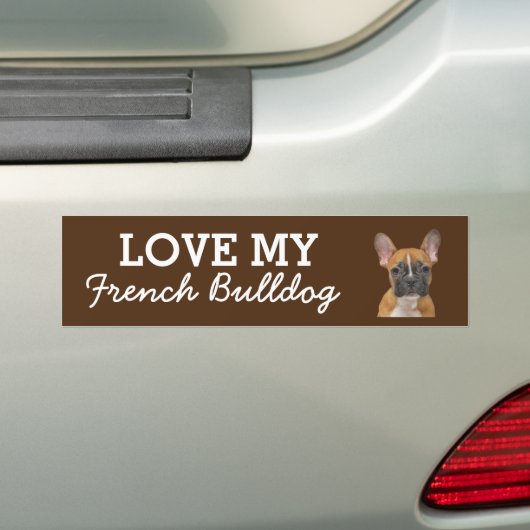 Franse bumpersticker met bulledog (Op auto)