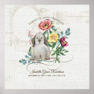 Franse Bunny Rabbit Boerderij  Baby Naam in Stats Poster