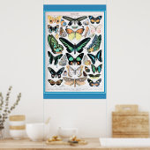 -Franse Butterflies Cotvoordcore Poster (Keuken)