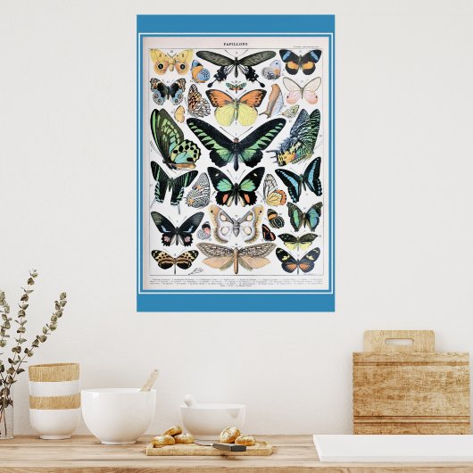 -Franse Butterflies Cotvoordcore Poster (Keuken)