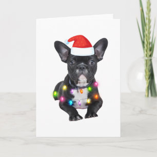 Franse cadeau met Kerstmis voor liefhebbers van bu Kaart