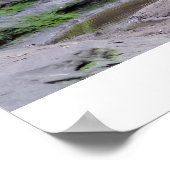 Franse Canyon Poster (Hoek)