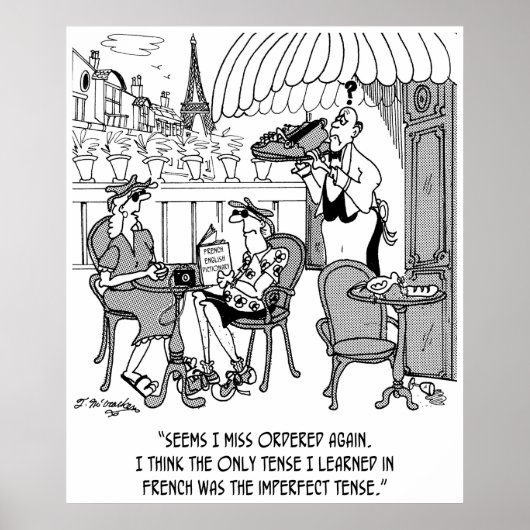 Franse Cartoon 4932 Poster (Voorkant)