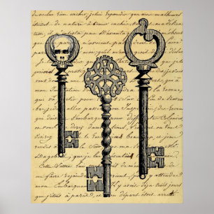 Franse Chic Skeleton Keys Poster