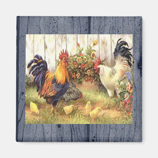 Franse Country Roosters/Baby Chicks Koelkast Magne Magneet (Voorkant)