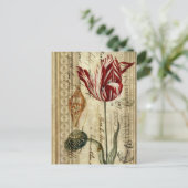 Franse country scripts botanische lente tulp briefkaart (Staand voorkant)