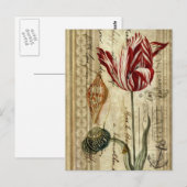 Franse country scripts botanische lente tulp briefkaart (Voorkant / Achterkant)