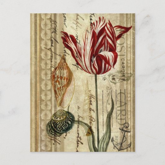 Franse country scripts botanische lente tulp briefkaart (Voorkant)