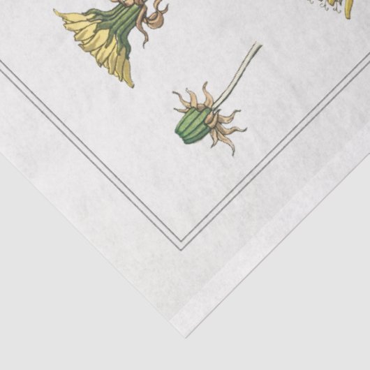 franse dandelion print tissuepapier (Detail)