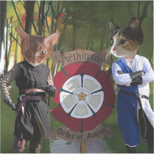 Franse disconnectie sticker (Voorkant)