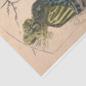  Franse en Victoriaans Petten Mode van Parijs Tissuepapier (Detail)