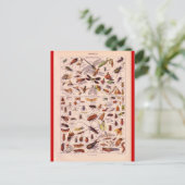 Franse Encyclopedia 1920, Insects Briefkaart (Staand voorkant)