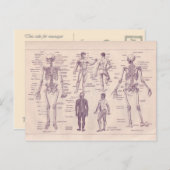 Franse Encyclopedia 1920, menselijke anatomie Briefkaart (Voorkant / Achterkant)