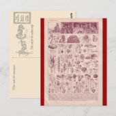 Franse Encyclopedia 1920, paddenstoelen Briefkaart (Voorkant / Achterkant)