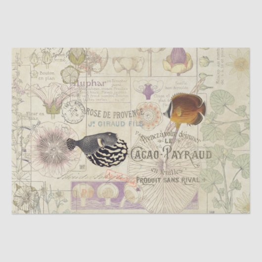 Franse ephemera Art Nouveau Flower Fish Tissuepapier (Voorkant)