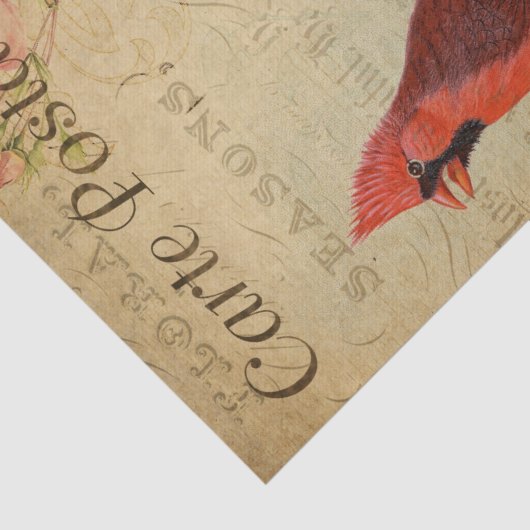 Franse ephemera kardinaal vogelroze rozen ontkoppe tissuepapier (Detail)
