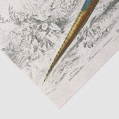 Franse Fazant Vogel Carte Postale Decoupage Vint Tissuepapier (Detail)