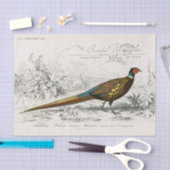 Franse Fazant Vogel Carte Postale Decoupage Vint Tissuepapier (Craft)