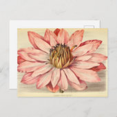  Franse Floral Art Pink Briefkaart (Voorkant / Achterkant)