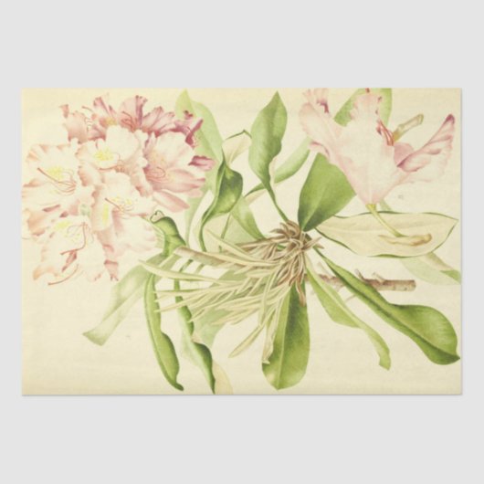 Franse Floral Ephemera Decoupage Roze Tiss Tissuepapier (Voorkant)