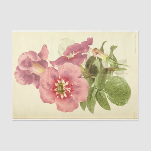  Franse Floral Ephemera Decoupage Roze Tiss Tissuepapier (Voorkant)