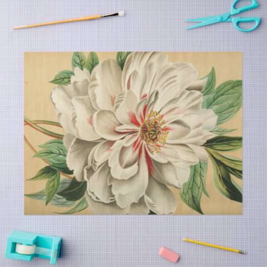  Franse Floral Ephemera Decoupage Wit Tissuepapier (Craft)