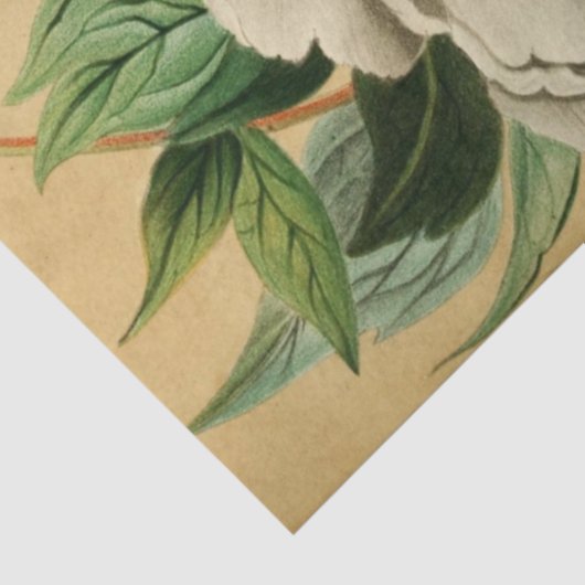  Franse Floral Ephemera Decoupage Wit Tissuepapier (Detail)