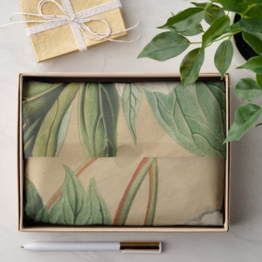  Franse Floral Ephemera Decoupage Wit Tissuepapier (Geschenk)