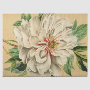  Franse Floral Ephemera Decoupage Wit Tissuepapier