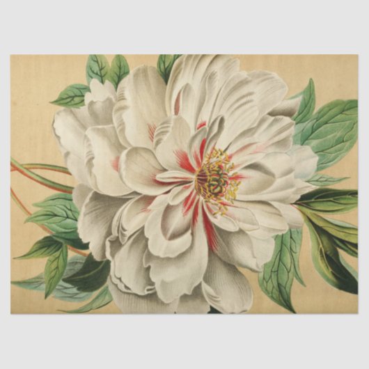 Franse Floral Ephemera Decoupage Wit Tissuepapier (Voorkant)