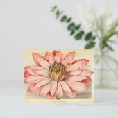  Franse Floral Ephemera ontkoppeling roze tis Briefkaart (Staand voorkant)