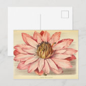  Franse Floral Ephemera ontkoppeling roze tis Briefkaart (Voorkant / Achterkant)