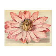 Franse Floral Ephemera ontkoppeling roze tis